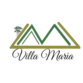 INVERSIONES VILLA MARIA